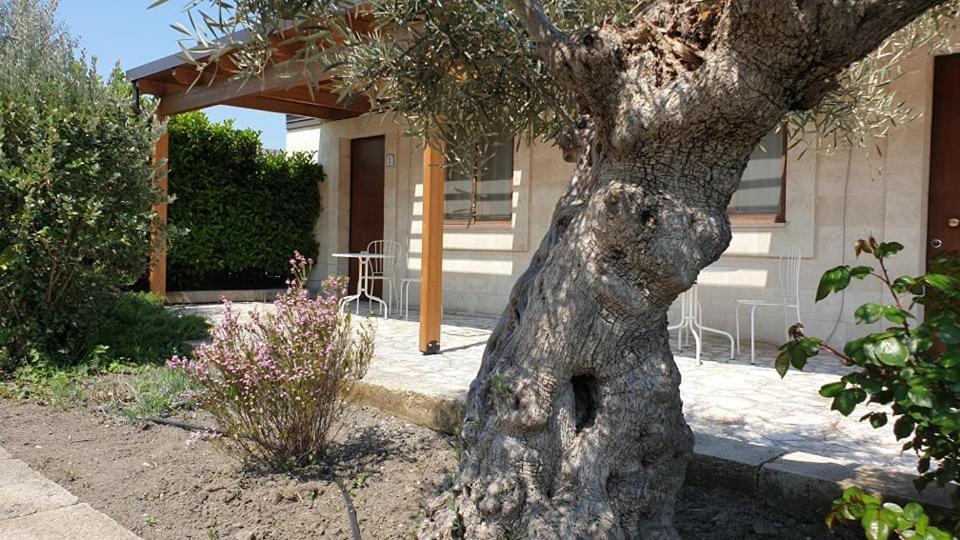 Apart-hotel Masseria Santa Lucia Matera